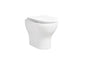 Brixton back to wall pan with soft close seat